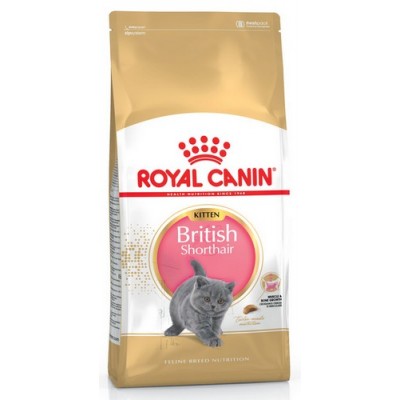 Royal Canin British Shorthair Kitten karma sucha dla kociąt, do 12 miesiąca, rasy brytyjski krótkowłosy 400g