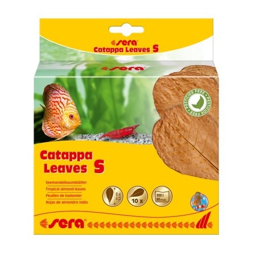 Liście migdałecznika - Catappa Leaves S, 14 cm, 10szt/OPAK
