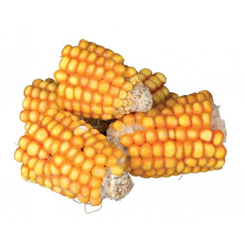 Kolby kukurydzy, 300 g